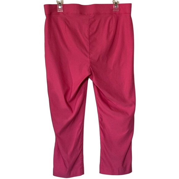 Women's Rafaella Comfort Pink Mid-Rise Capri Pants Viscose Nylon Blend Size 14 - Picture 2 of 15